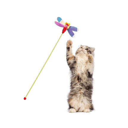 Cat Stick Teaser Toy Butterfly